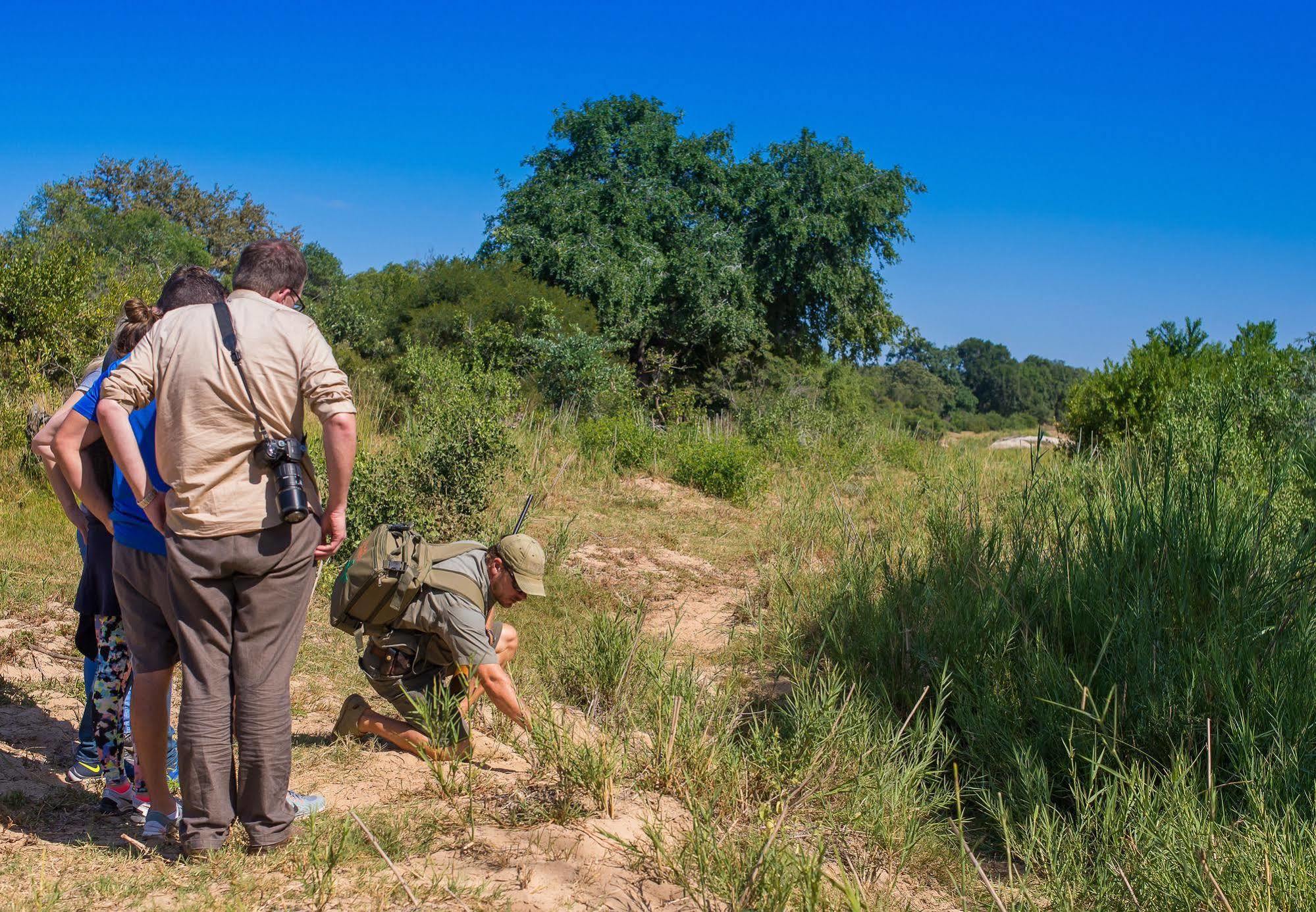 Inyati Game Lodge Metsi ภายนอก รูปภาพ