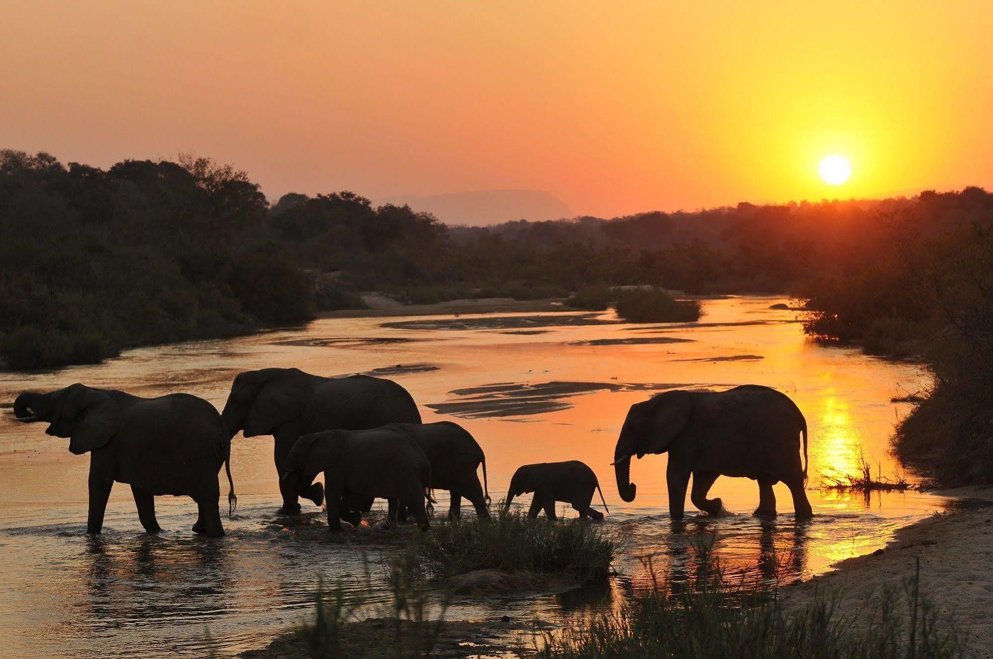 Inyati Game Lodge Metsi ภายนอก รูปภาพ